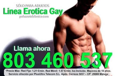 paja gay telefono|The Stud From Bogota